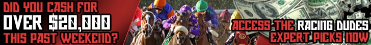 Horse Racing Picks