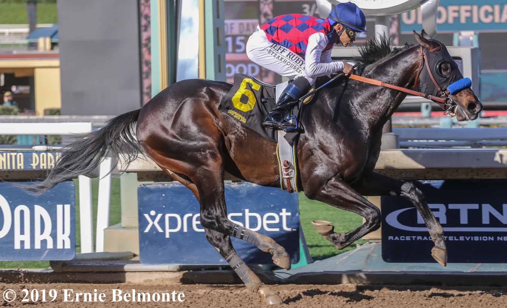 Kentucky Derby Trail Tracker: Gotham a Play-In Race for Sprinters
