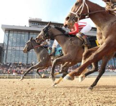 Oaklawn Park Free Picks: Race Of The Day December 12, 2021