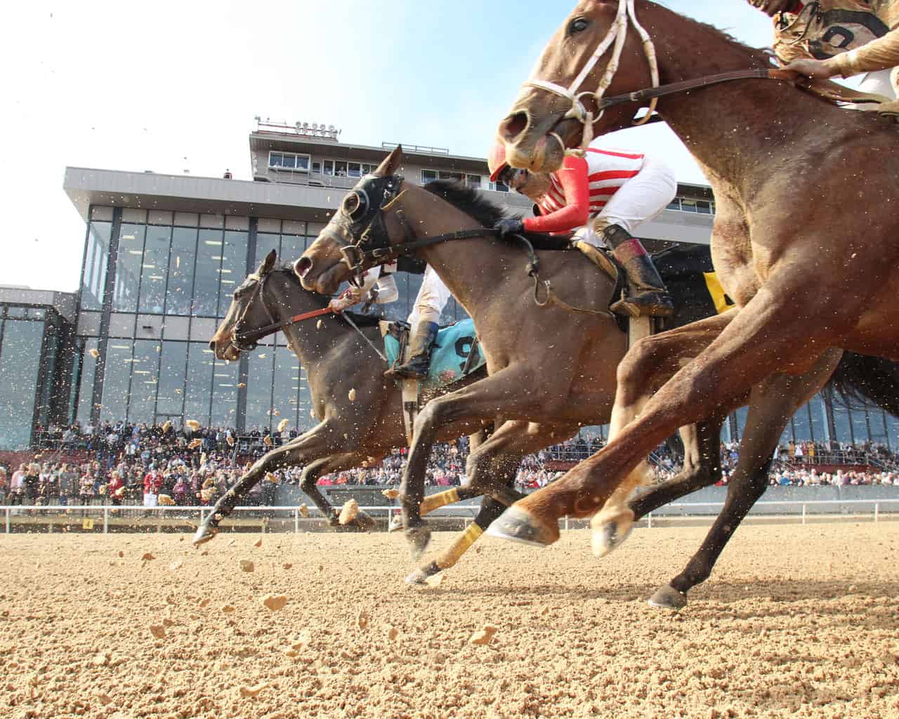 Oaklawn Park Preview, FREE Picks, & Longshots | March 20, 2022 - Racing ...