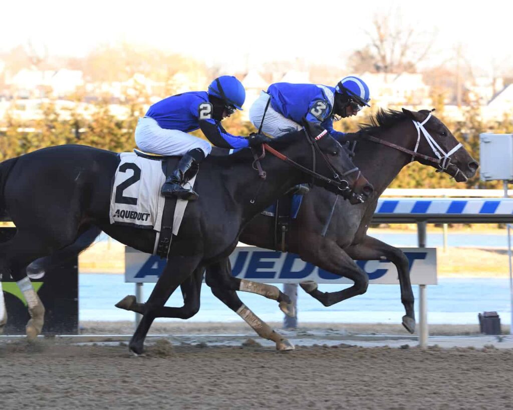 Kentucky Derby Trail Tracker: Gotham a Play-In Race for Sprinters