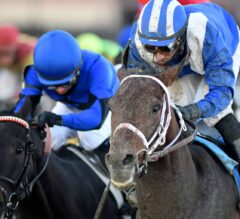 FREE Win Picks for Gotham Stakes Day at Aqueduct