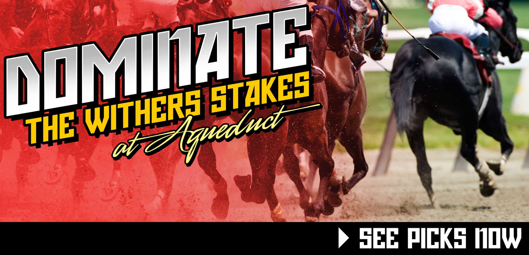 FREE Picks for Withers Stakes Day at Aqueduct