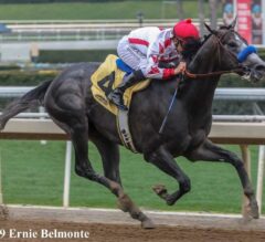 Santa Anita Derby Preview: Racing Holds Its Breath
