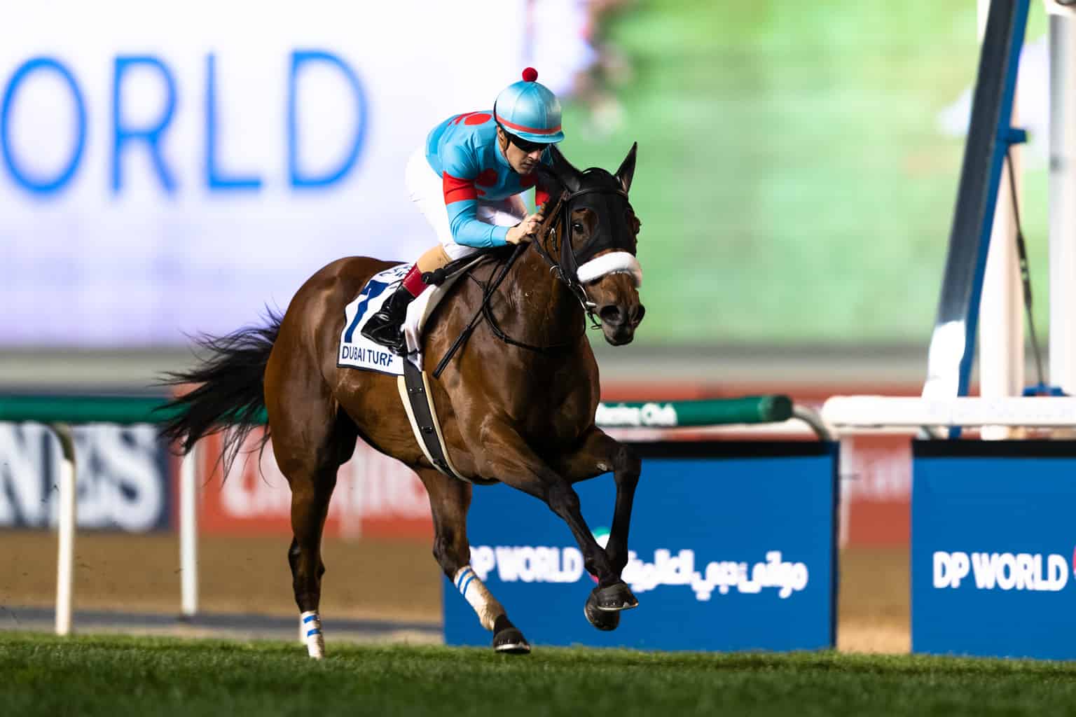 Almond Eye "An Equine Masterpiece" In Dubai Turf