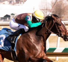 Fantasy League Update: Jon and Ryan Look to Take Charge in Preakness Stakes