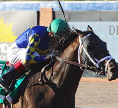 Cutting Humor Slices Up Field in Record-Setting Sunland Park Derby
