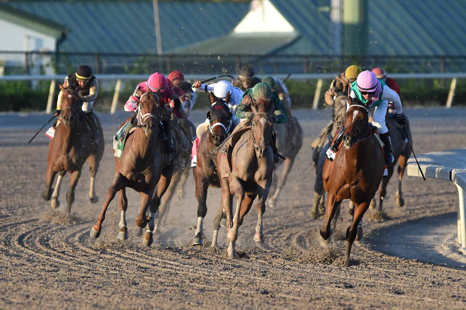 2022 Fountain of Youth Stakes Contenders, Picks and Results