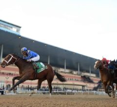 2019 Wood Memorial Picks and Wagering Guide from Aqueduct