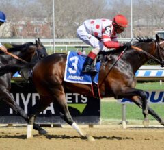 2022 Cigar Mile Preview & FREE Picks | Mind Control To Retire From Racing Following Aqueduct Feature