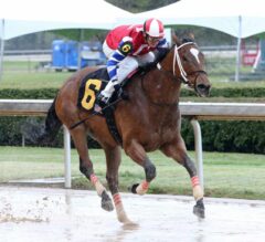 Ours to Run Upsets Carousel