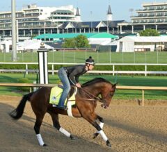 2019 Kentucky Derby Post Position Trends and Analysis