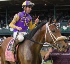 Ohio Derby Preview: Owendale Looks to Build Resume in Wide Open Division