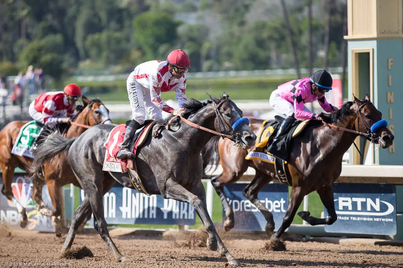 Roadster RosyRed In Santa Anita Derby