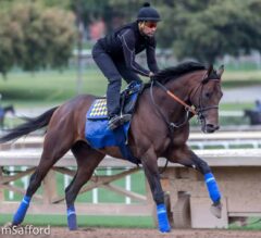 Kentucky Derby Preview: Baffert Holds Strong Hand With Trifecta of Stars