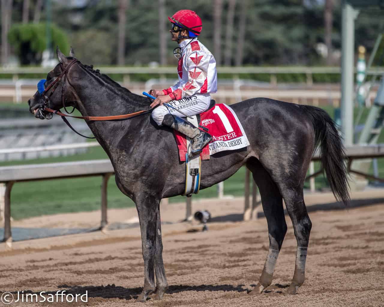 Fantasy League Update Kentucky Derby Less than Two Weeks Away