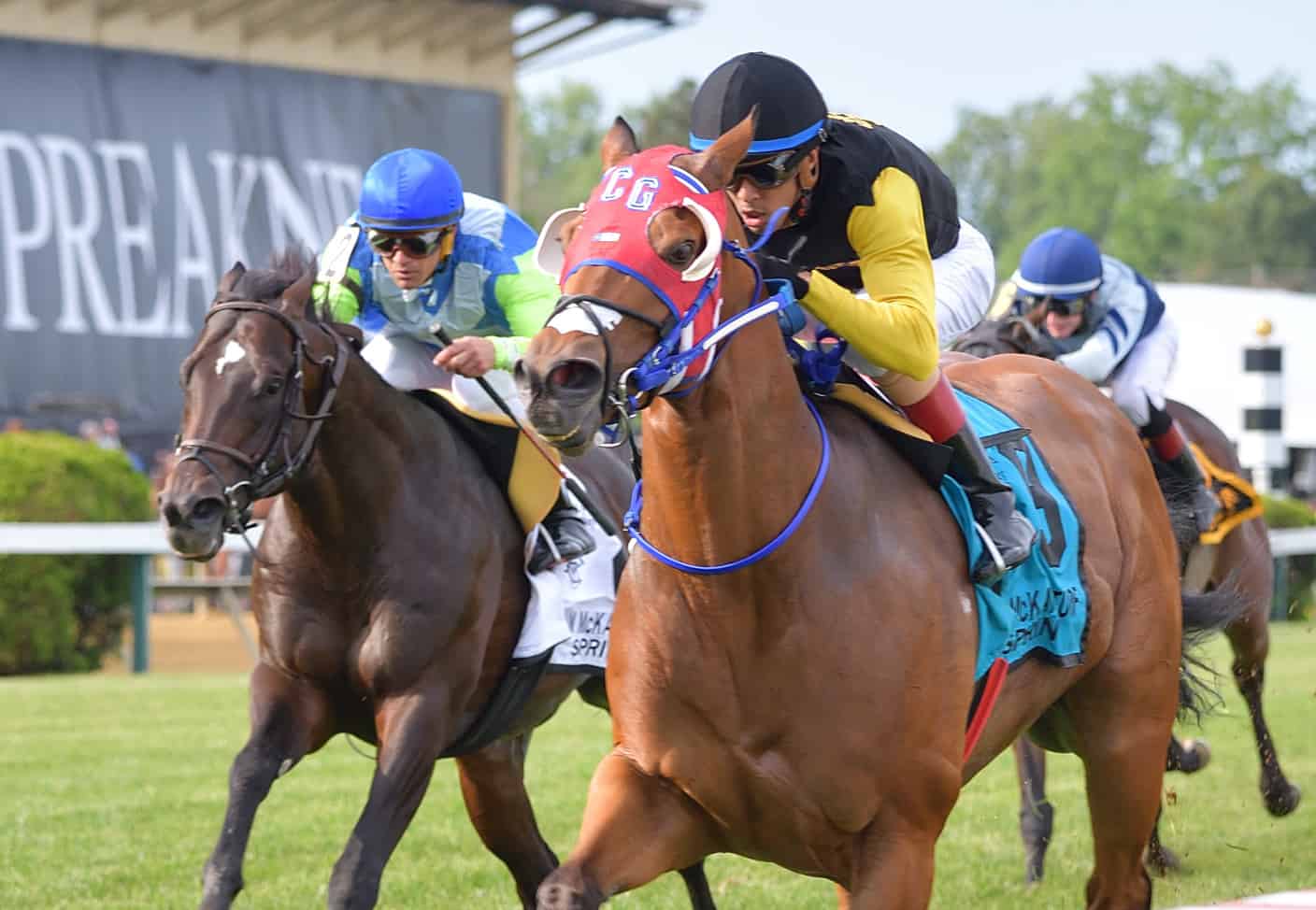 Completed Pass Breaks Through in Jim McKay Turf Sprint