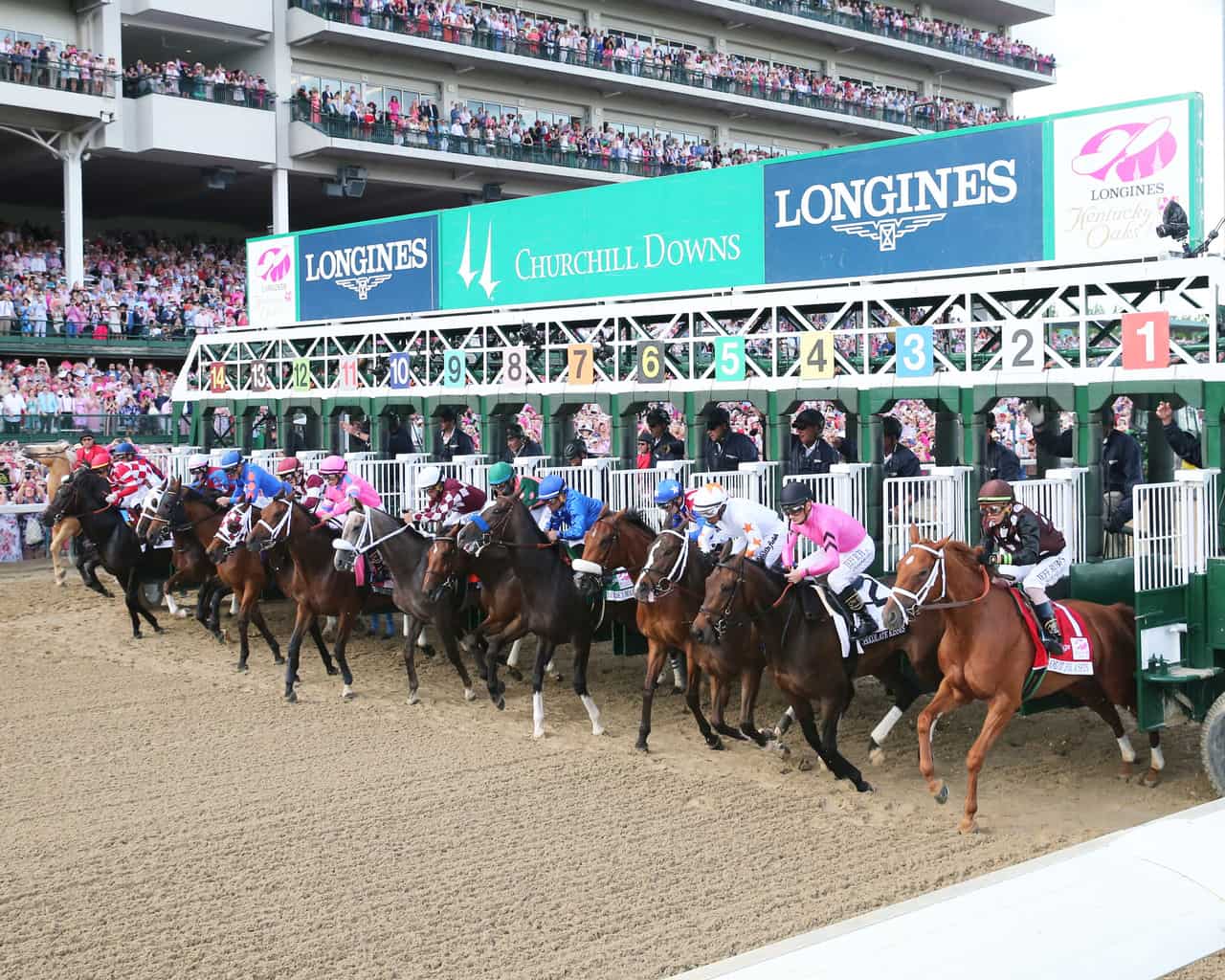 Pocahontas Stakes Preview Competitive Group Ready to Step Up