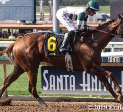 Mucho Gusto Continues Local Dominance in Affirmed