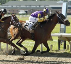 Owendale Victorious in Ohio Derby