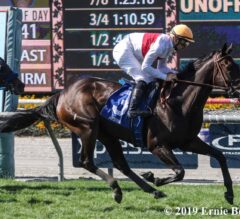 Simply Breathless Saves Ground, Scores in Wilshire