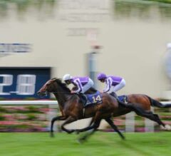 South Pacific Leads Ballydoyle Trio in King George V