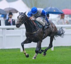 The Grand Visir Stays On For Ascot Score
