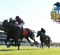 Turf Trinity Series Begins Saturday with Loaded Belmont Derby
