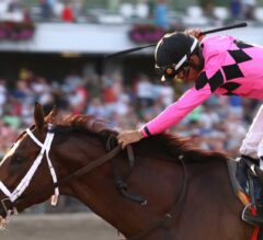 Maximum Security, War of Will Get Rematch in Pennsylvania Derby