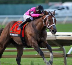 Maximum Security Scratched from Pennsylvania Derby Due to Colic
