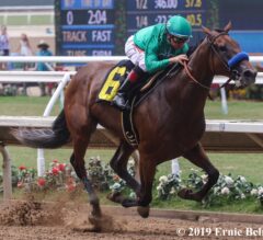 Somo Bombs: Del Mar and Saratoga Picks for August 1, 2019