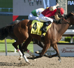 Desert Ride Steals Woodbine Oaks Spotlight