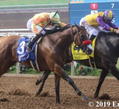 Ollie’s Candy Set for Zenyatta Stakes