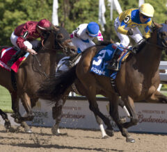 Pay for Peace Pulls Off Plate Trial Upset