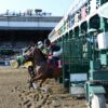 Belmont Stakes 2024 | Early Contenders Preview