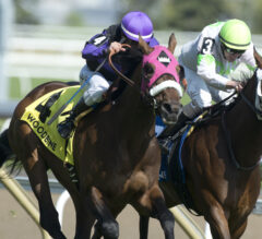 Souper Speedy Offspring Dominate Bold Ruckus