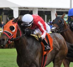 Stirling Drive Prevails in Not Surprising