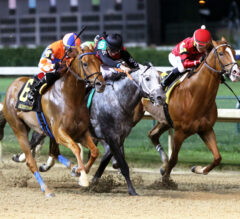 Wilbo Prevails in Final Stages of Aristides