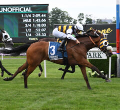 Amade Runs Down Arklow in Belmont Gold Cup