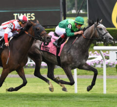 Homerique Again Outduels Stablemate Competitionofideas to Win New York