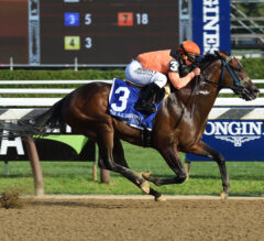 Imperial Hint Back for Vosburgh Stakes