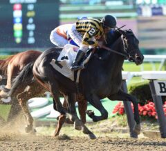 Field of Nine Seek First Stakes Victory of Year in Friday’s $100K Curlin
