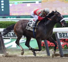 Patience Pays Off for Preservationist in Suburban