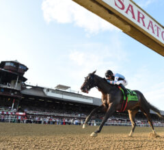 Somo Bombs: Saratoga and Del Mar Picks for July 31, 2019