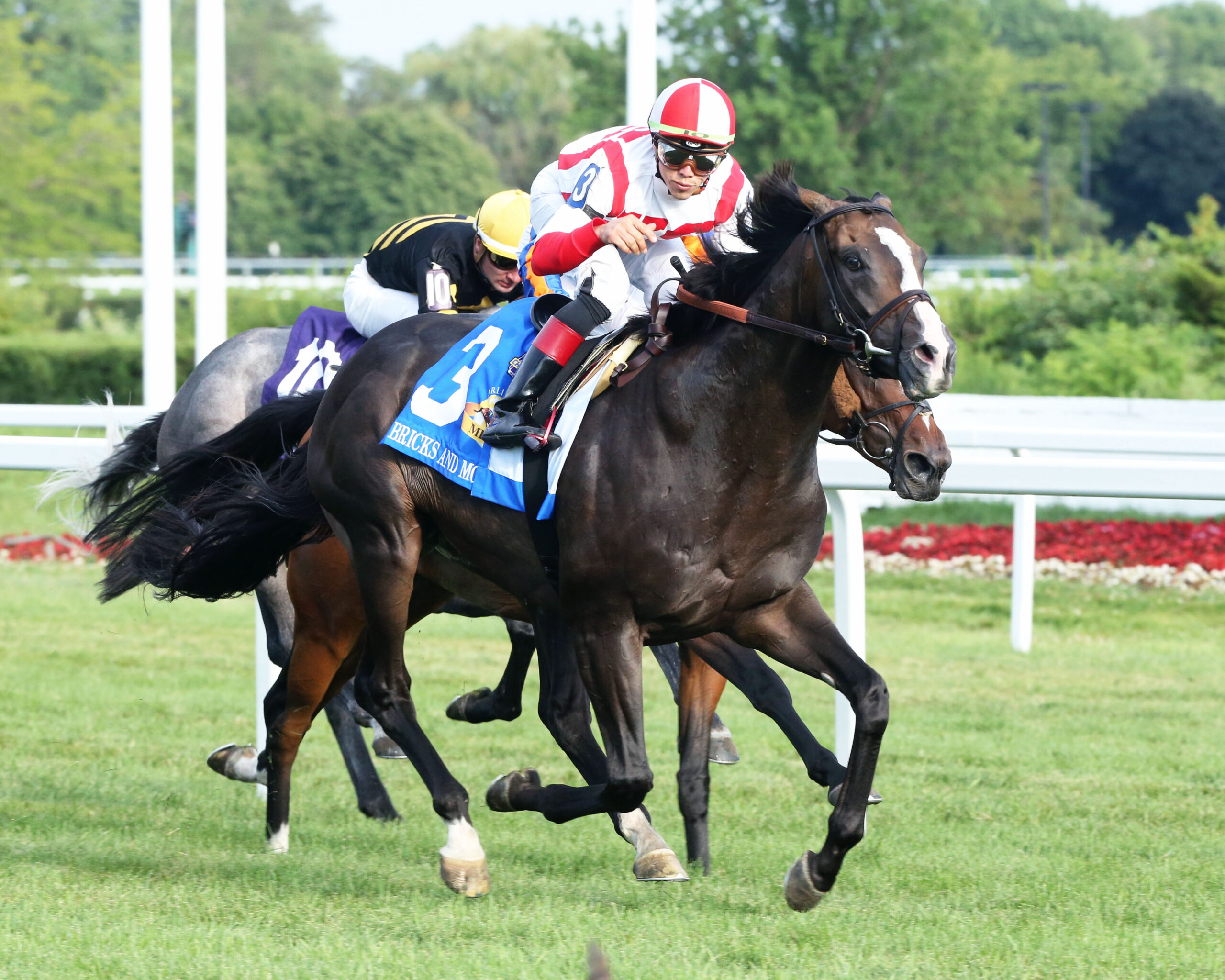 Racing Dudes Three Stars of the Week Chad Brown's World