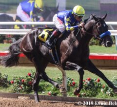 Closing Day’s Del Mar Futurity Picks and Analysis