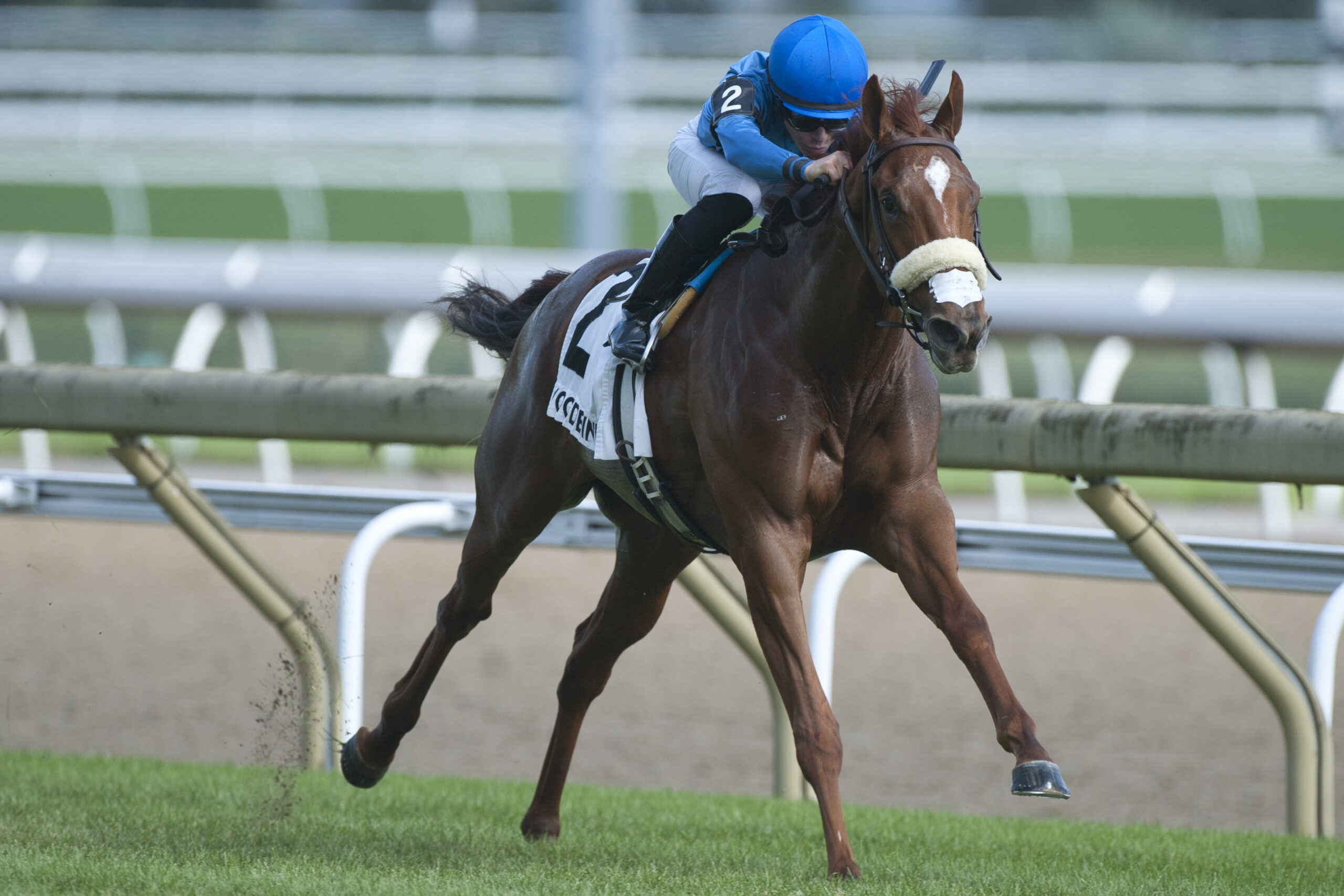 Natalma Stakes Preview Casse Sends Out Three Prime Contenders