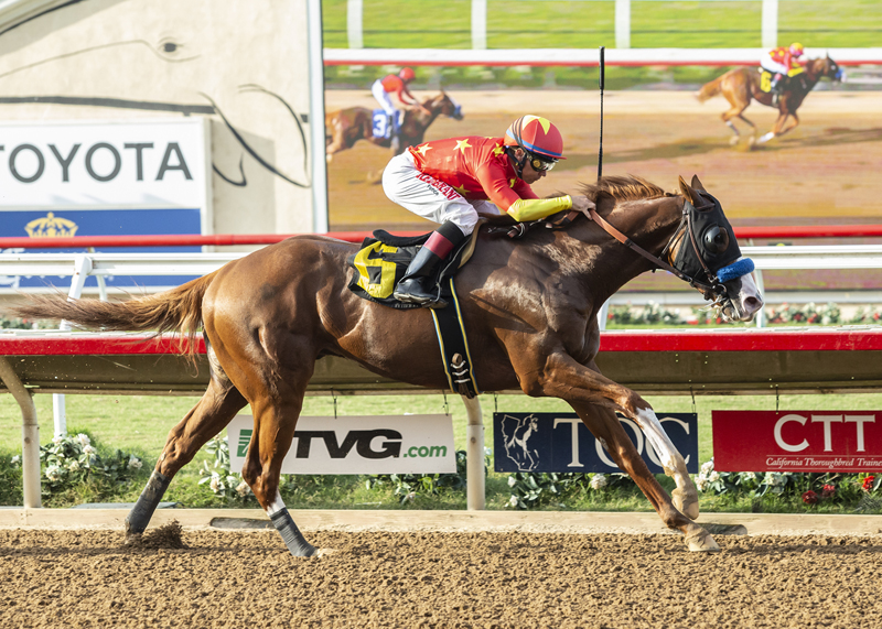 Pennsylvania Derby Preview: Shortened Field Ready