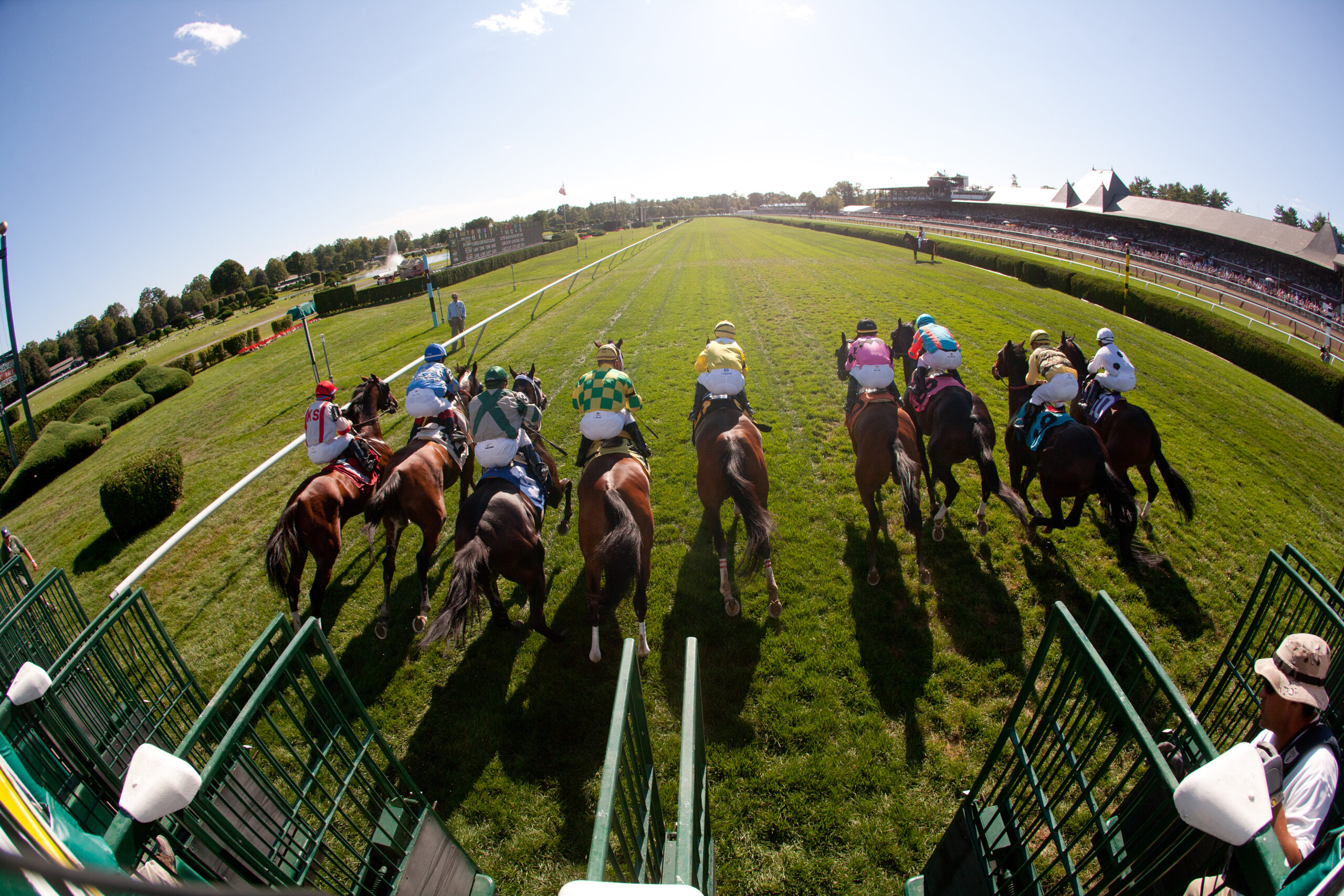 Saratoga Raceway Picks - b9njxo2