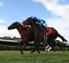 Somo Bombs: Del Mar and Saratoga Picks for August 23, 2019